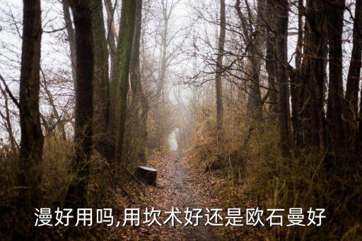 欧诗漫好用吗,用坎术好还是欧石曼好?