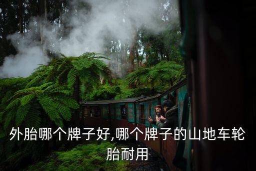 死飞外胎哪个牌子好,哪个牌子的山地车轮胎耐用?