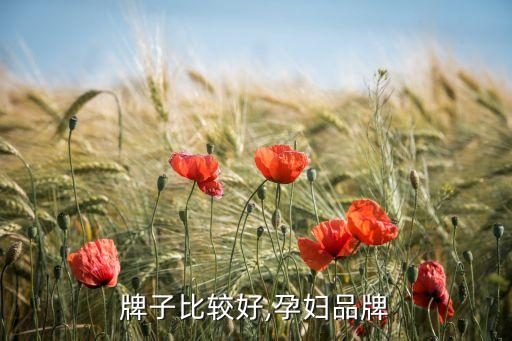 牌子比较好,孕妇品牌