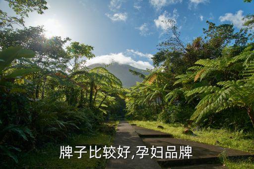 产妇牌子比较好,孕妇品牌