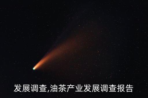 发展调查,油茶产业发展调查报告