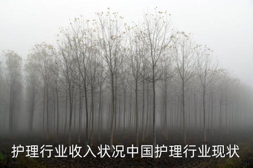 我国护理行业收入状况中国护理行业现状
