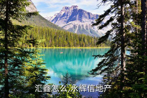 永信汇鑫怎么,永辉信地产