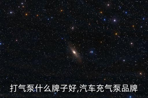 轿车打气泵什么牌子好,汽车充气泵品牌