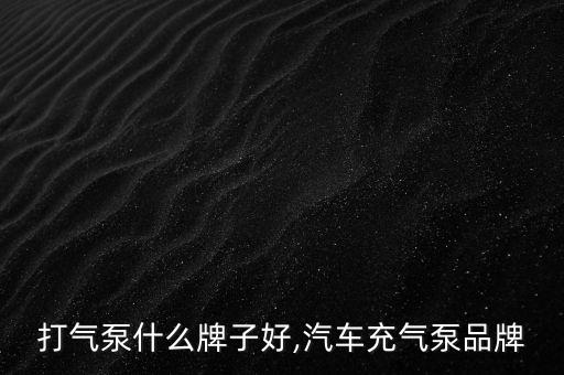 打气泵什么牌子好,汽车充气泵品牌