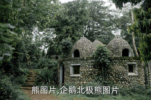 北极熊图片,企鹅北极熊图片