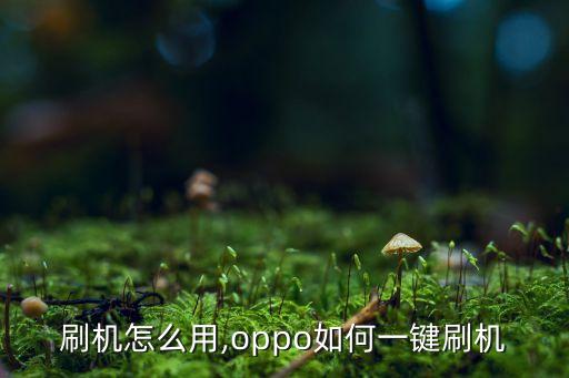 一键刷机怎么用,oppo如何一键刷机?