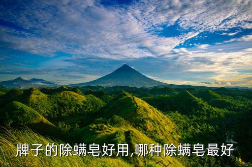 牌子的除螨皂好用,哪种除螨皂最好
