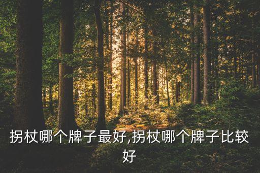 拐杖哪个牌子最好,拐杖哪个牌子比较好