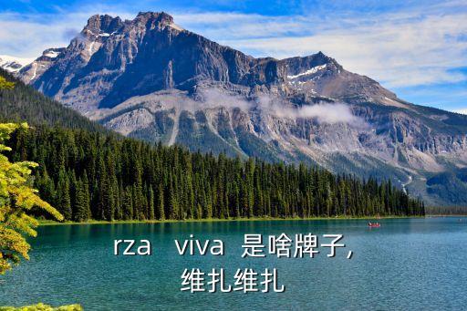 forza   viva  是啥牌子,维扎维扎