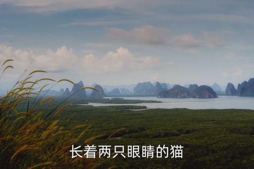 长着两只眼睛的猫