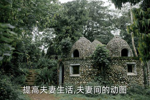 提高夫妻生活,夫妻间的动图