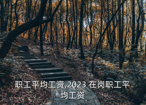 在岗职工平均工资,2023 在岗职工平均工资