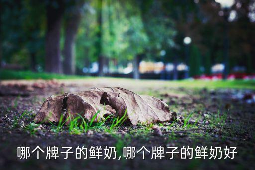 菏泽哪个牌子的鲜奶,哪个牌子的鲜奶好?