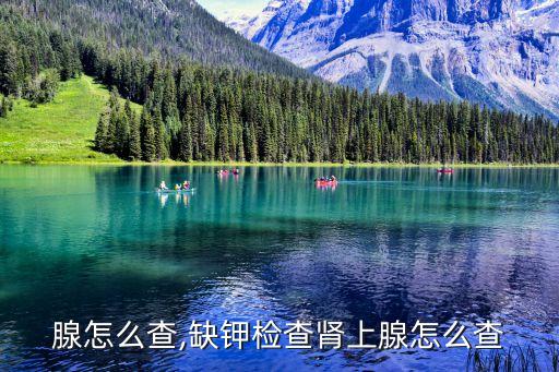 腺怎么查,缺钾检查肾上腺怎么查
