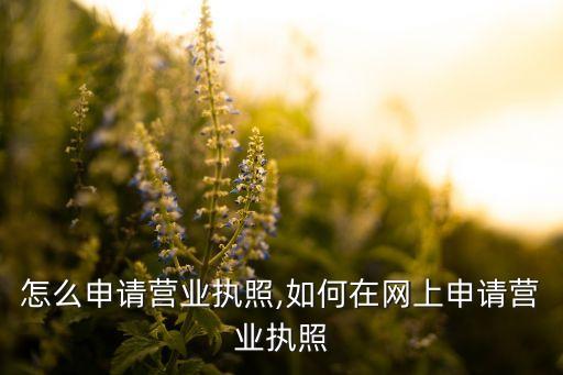 网上怎么申请营业执照,如何在网上申请营业执照?