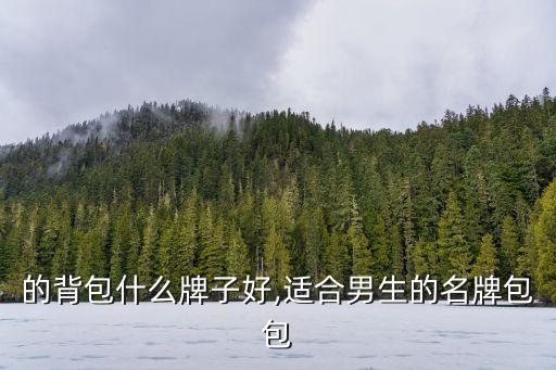 的背包什么牌子好,适合男生的名牌包包