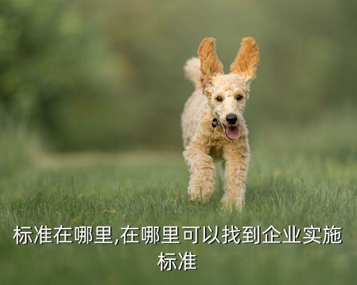 行业标准在哪里,在哪里可以找到企业实施标准?