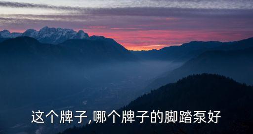 这个牌子,哪个牌子的脚踏泵好