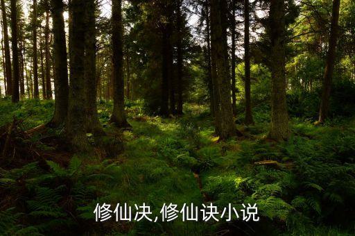 五行修仙决,修仙诀小说