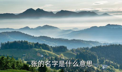 ,张的名字是什么意思