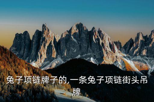 日本兔子项链牌子的,一条兔子项链街头吊牌