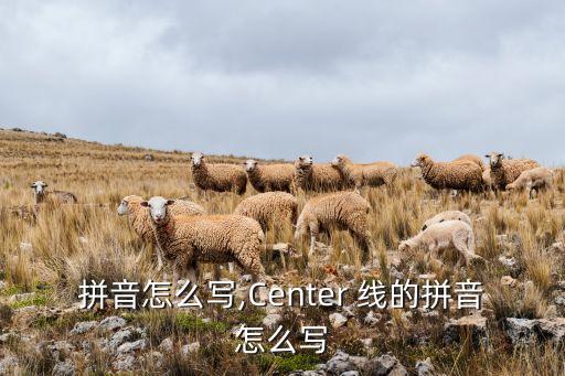 拼音怎么写,Center 线的拼音怎么写