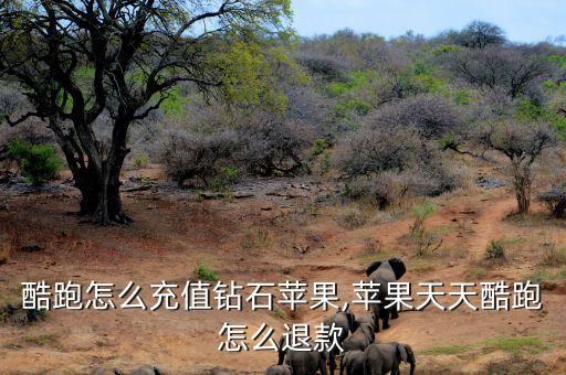 天天酷跑怎么充值钻石苹果,苹果天天酷跑怎么退款?