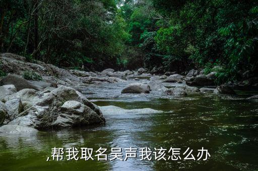 ,帮我取名吴声我该怎么办