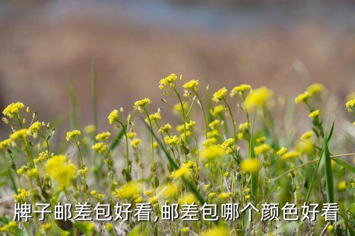 哪个牌子邮差包好看,邮差包哪个颜色好看?