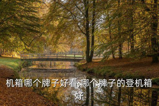 游戏机箱哪个牌子好看,哪个牌子的登机箱好?