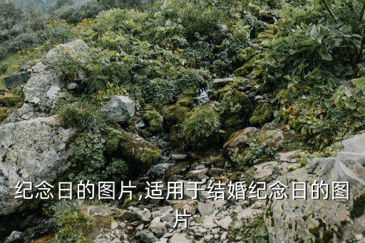 纪念日的图片,适用于结婚纪念日的图片