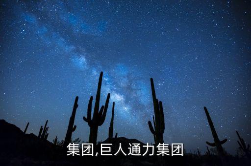 通力集团,巨人通力集团