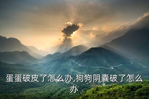 狗狗蛋蛋破皮了怎么办,狗狗阴囊破了怎么办?