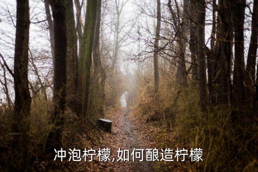 冲泡柠檬,如何酿造柠檬