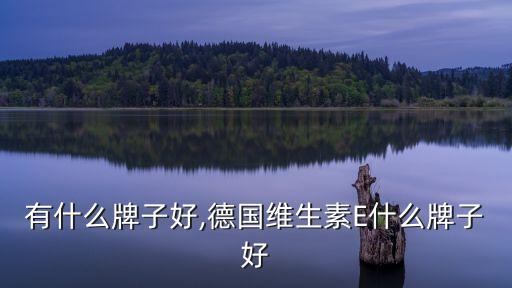 有什么牌子好,德国维生素E什么牌子好