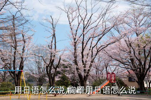 用日语怎么说,胸罩用日语怎么说