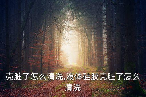 硅胶壳脏了怎么清洗,液体硅胶壳脏了怎么清洗