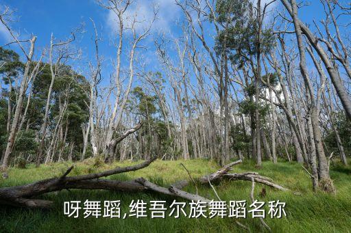 呀舞蹈,维吾尔族舞蹈名称