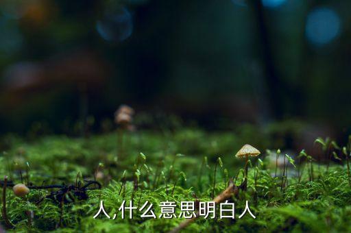 明白人,什么意思明白人?
