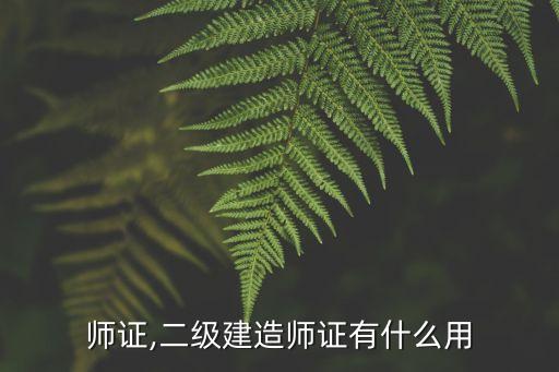 师证,二级建造师证有什么用