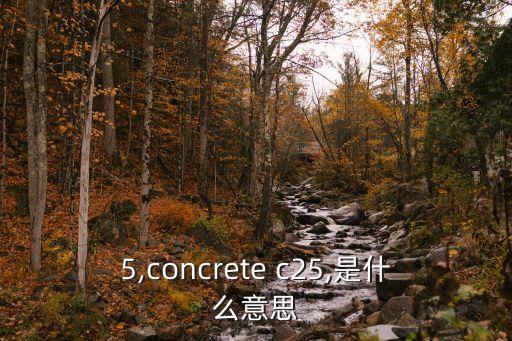 c25,concrete c25,是什么意思?