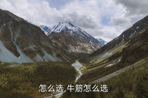 牛筋怎么选,牛筋怎么选
