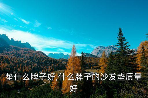 垫什么牌子好,什么牌子的沙发垫质量好