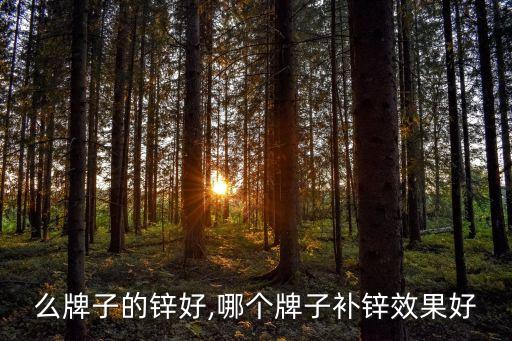 补什么牌子的锌好,哪个牌子补锌效果好?