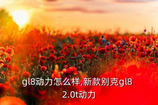 gl8动力怎么样,新款别克gl8 2.0t动力