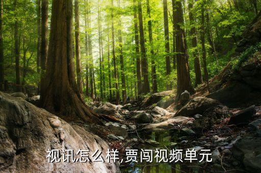 佳创视讯怎么样,贾闯视频单元