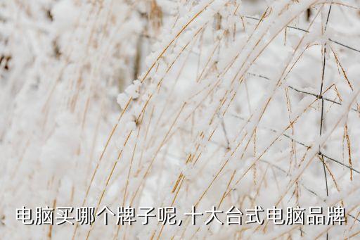 台式电脑买哪个牌子呢,十大台式电脑品牌