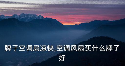 什么牌子空调扇凉快,空调风扇买什么牌子好?
