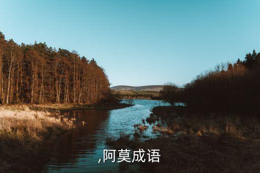 ,阿莫成语